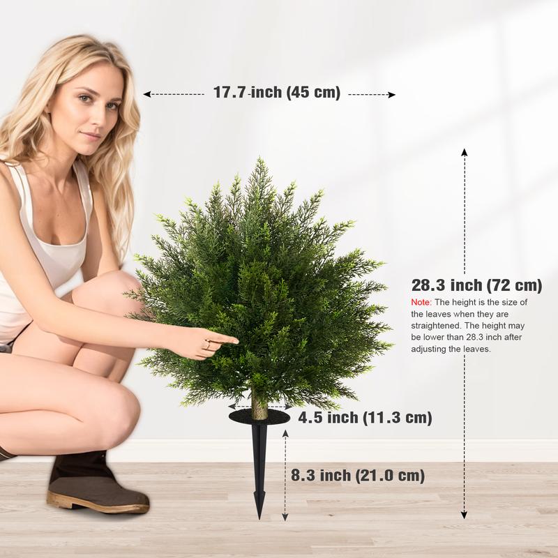 Outdoor Boxwood Topiary Plant