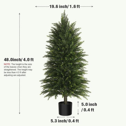 Evergreen Cedar Decor