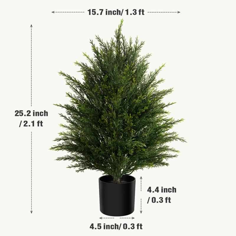 Evergreen Cedar Decor