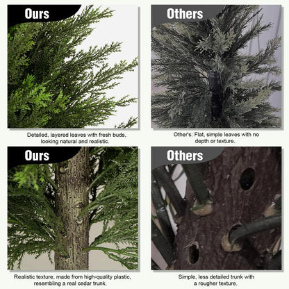 Evergreen Cedar Decor