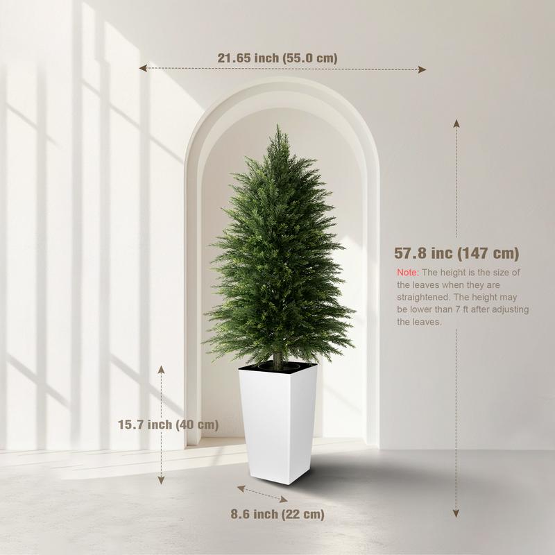 Evergreen Cedar Decor