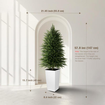 Evergreen Cedar Decor