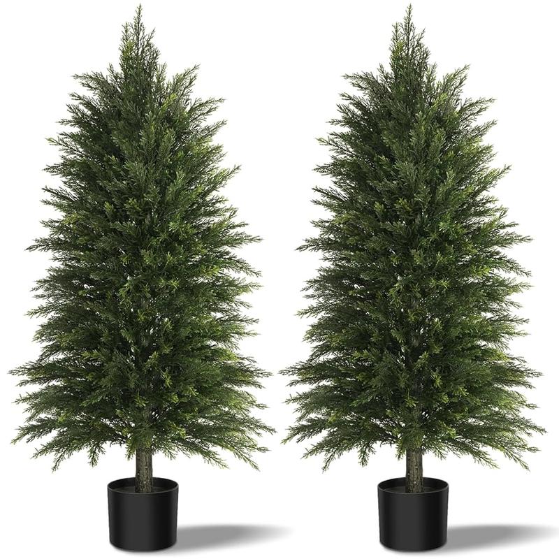 Evergreen Cedar Decor