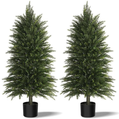 Evergreen Cedar Decor