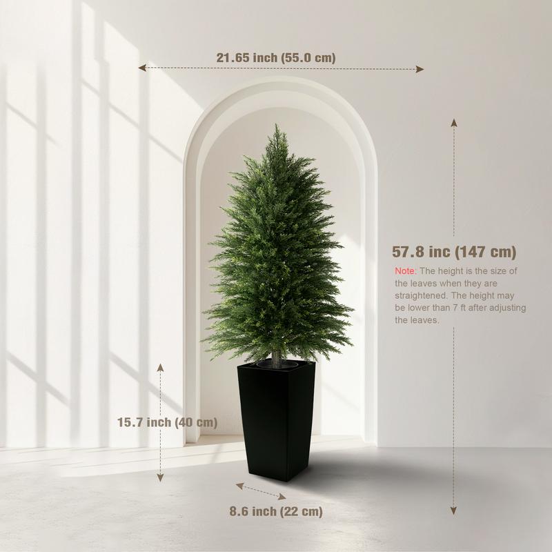 Evergreen Cedar Decor