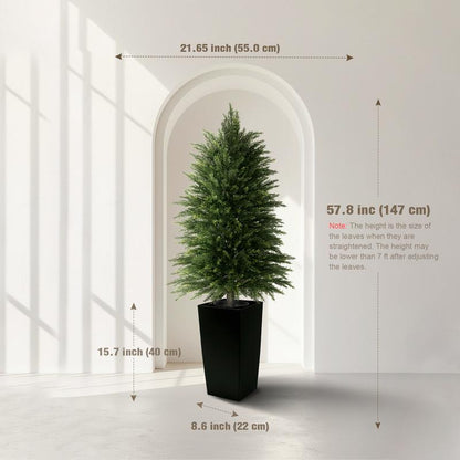 Evergreen Cedar Decor