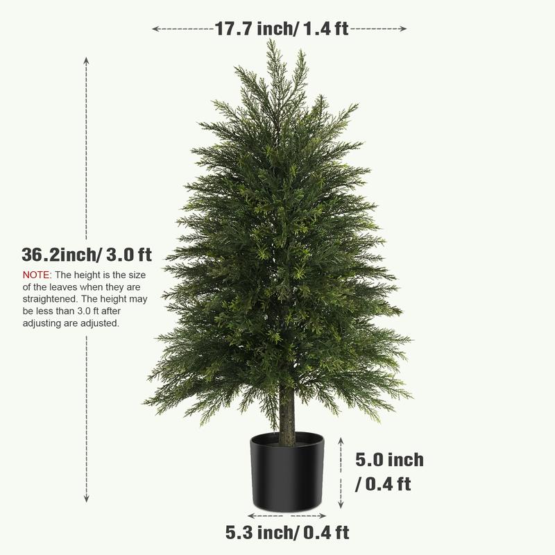 Evergreen Cedar Decor