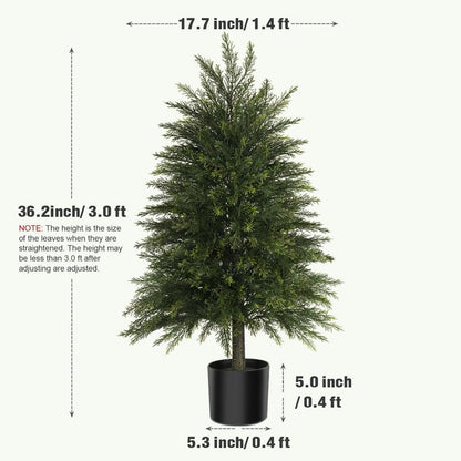 Evergreen Cedar Decor