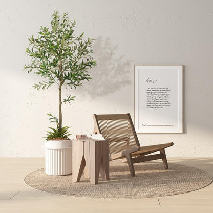 Evergreen Mediterranean Olive Tree