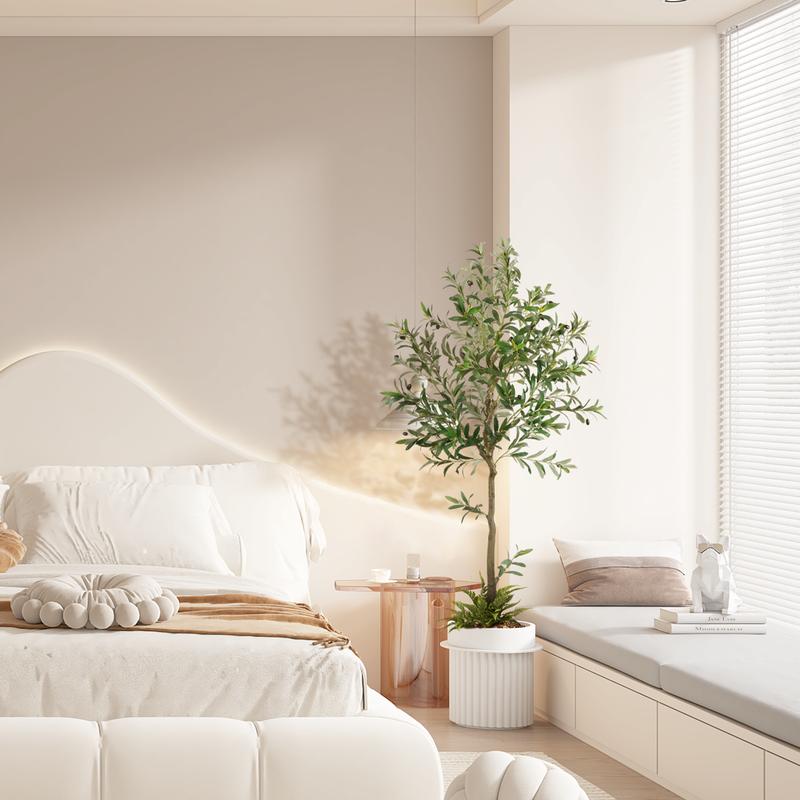 Evergreen Mediterranean Olive Tree