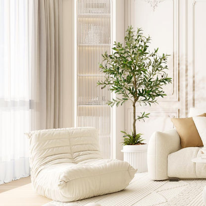 Evergreen Mediterranean Olive Tree