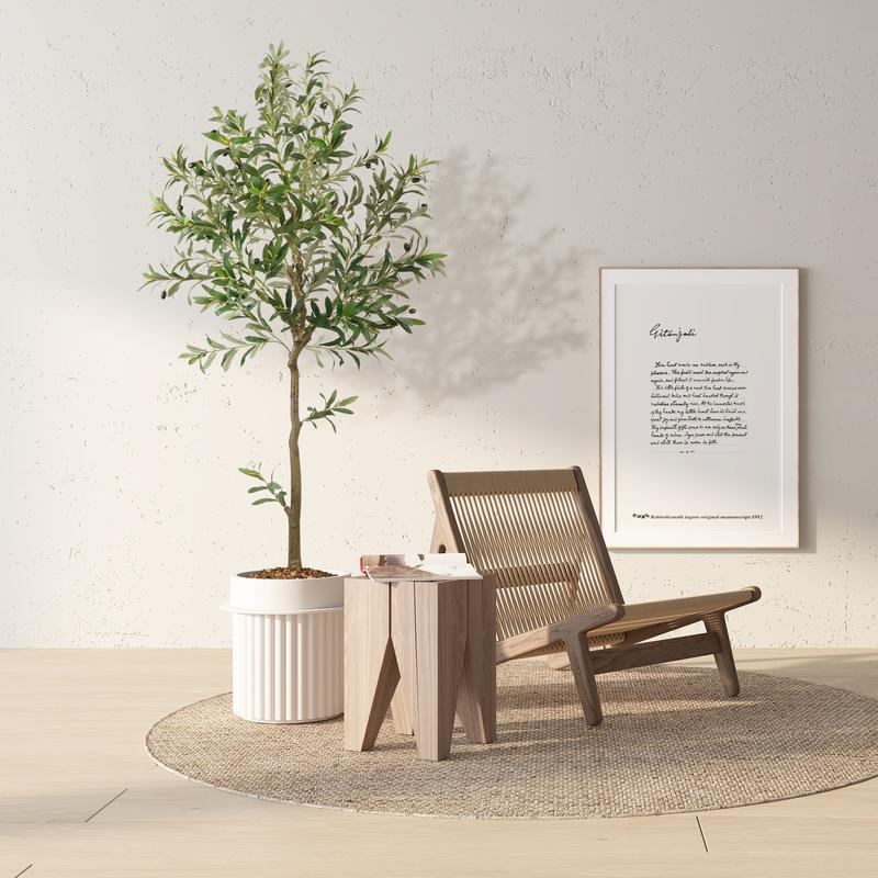 Evergreen Mediterranean Olive Tree