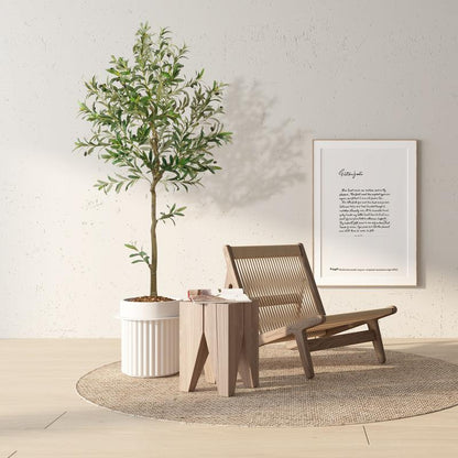 Evergreen Mediterranean Olive Tree