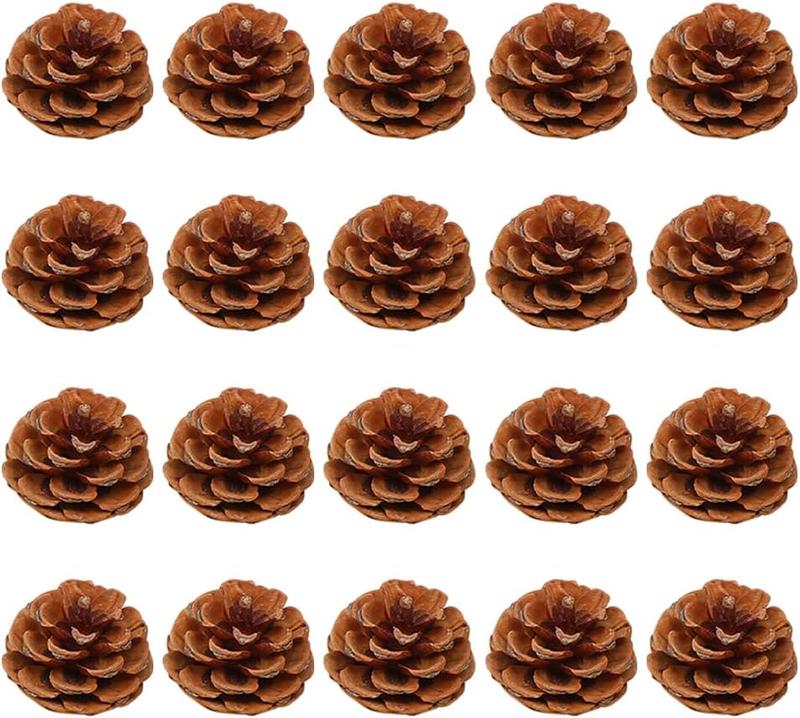 Natural Pinecone Ornaments