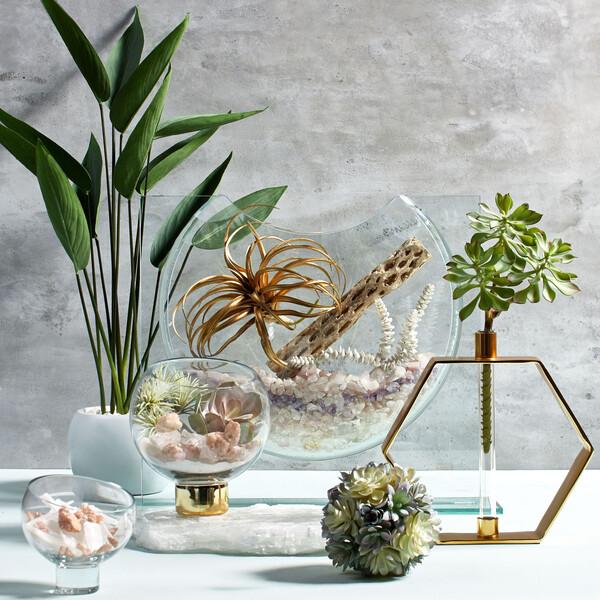 Elegant Glass Ellipse Vase