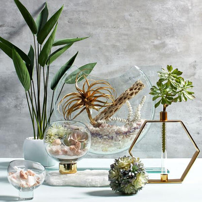 Elegant Glass Ellipse Vase