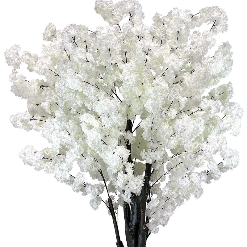 Serene Sakura Blossom