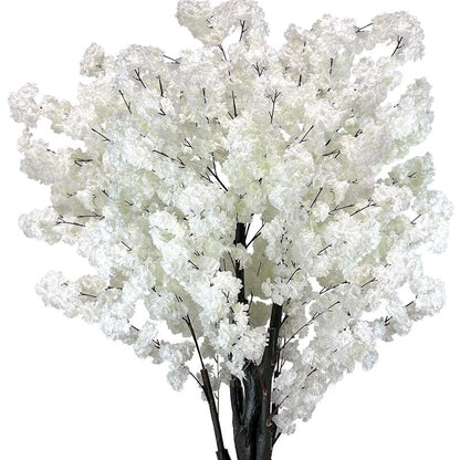 Serene Sakura Blossom