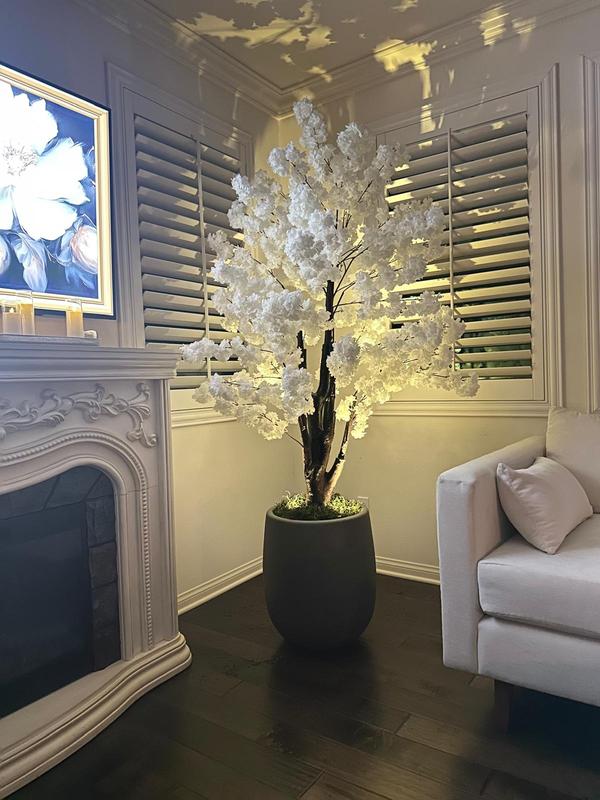 Serene Sakura Blossom