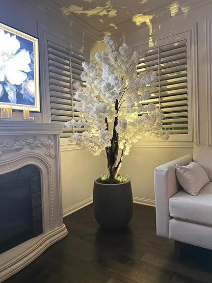 Serene Sakura Blossom