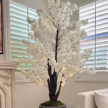 Serene Sakura Blossom