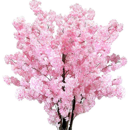 Serene Sakura Blossom