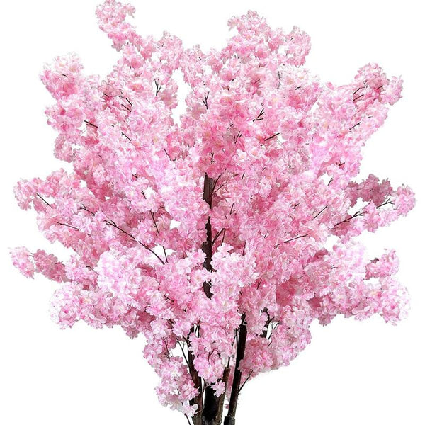 Serene Sakura Blossom